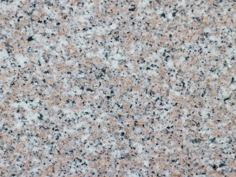 g663